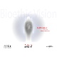 bioethic vision