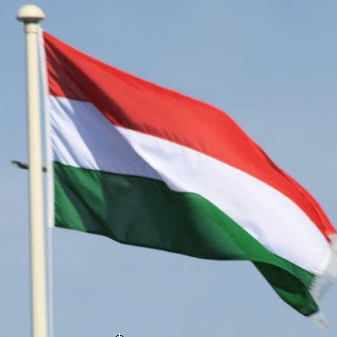 bandiera dell'ungheria (Wikipedia CC BY 2.0 Kat Dodd from Shropshire, UK - The Hungary Flag Uploaded by Smooth_O)