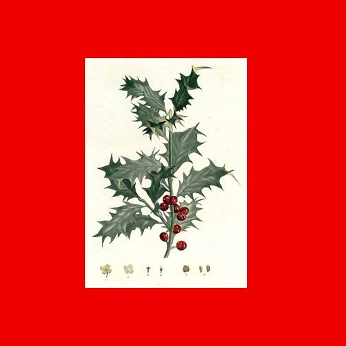 Particolare per iniziativa