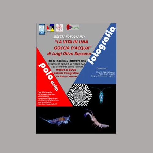Particolare per iniziativa