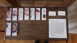 Opera di Francensca Napoli alla mostra Liguaggi impercettibili