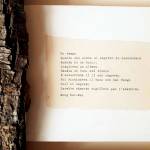 Opera di Francensca Napoli alla mostra Liguaggi impercettibili