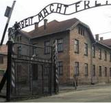 Auschwitz 1945-2025 La Storia rende liberi