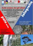 Loc_mostra_fot_Acque_alberi_dal_5_giugno_al_25_luglio_2025_original