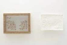 Segrete_Uccelli_23_gennaio_2026_ok_original