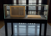 Segrete_Uccelli_dal_23_gennaio_2026_1_original