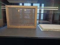 Segrete_Uccelli_dal_23_gennaio_2026_2_rid_original