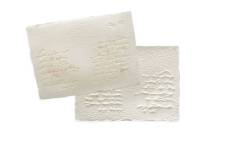 Segrete_Uccelli_dal_23_gennaio_2026_3_rid_original