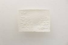 Segrete_Uccelli_dal_23_gennaio_2026_4_rid_original